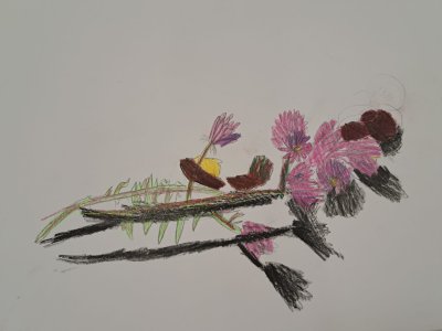 Zajęcia plastyczne 30.09.23